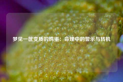梦见一筐变质的鸡蛋：命理中的警示与转机