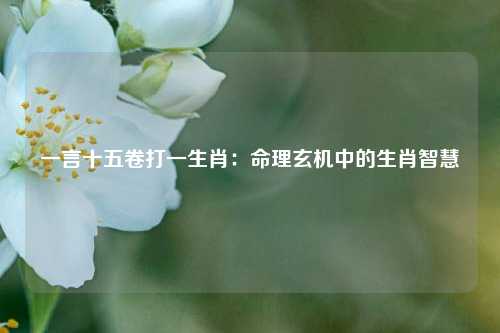 一言十五卷打一生肖:命理玄机中的生肖智慧